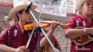 El  Trío Eco Potosino toca La Petenera y El Gustito desde Tlanalapa Hidalgo 2017