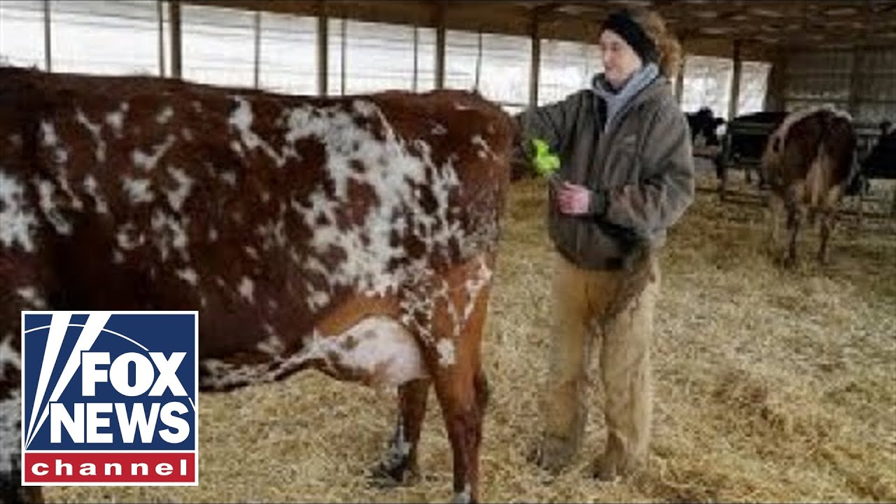 American Farmers Wary Of Trump Trade Policies - YouTube