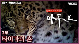 [KBS 명작다큐] 동아시아 생명대탐사 "아무르 2부 - 타이가의 혼" (KBS 110407 방송)