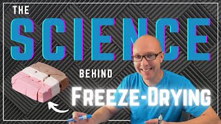 What Is Freeze-Drying And How Does It Work?