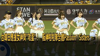 台韓日應援女神齊「攻蛋」！ 阪神啦啦隊合體Passion Sisters－民視新聞