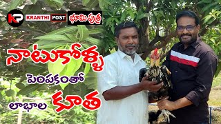 NATU KOLLU l నాటుకోళ్లు పెంచుతున్న motor మెకానిక్ l KRANTHI POST l Bhumiputhra