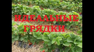 Идеальные грядки. Ландшафтный дизайн на даче. DIY Landscape design. Лучшая дача в СССР