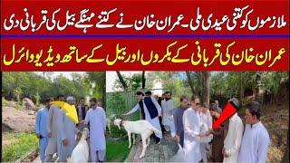 Imran Khan with his scapegoat video goes viral | #imrankhan #eidmubarak #eidaladha| bolchal Pakistan