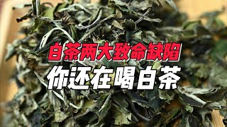 白茶两大致命缺陷，你还在喝白茶