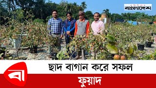 ছাদ বাগান করে সফল ফুয়াদ | Roof garden faridpur bangladesh @ProtidinerBangladesh