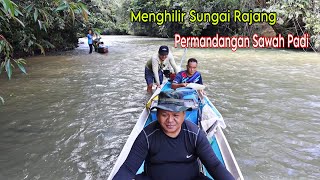 Menghilir Dari Ulu Sungai Rajang Ke Long Unai // Permandangan Cantik Sawah Padi Orang Penan&Kenyah /