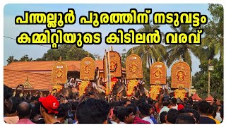 PANTHALLOOR POORAM - MASS ENTRY OF NADUVATTOM POORAM COMMITTEE ELEPHANTS