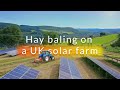 Hay baling on a UK solar farm | Lightsource bp