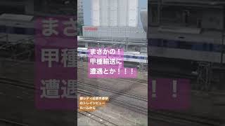 京都駅のトレインビューホテルからまさかの！甲種輸送！！！#鉄道 #shorts #甲種輸送