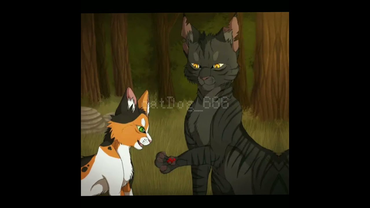 Darkstripe Edit частокол эдит Warriors Cats Youtube