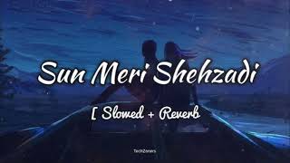Sun Meri Shehzadi Main Tera Shehzada | Ehsas Nahi Tujhko | Saaton Janam | New Viral Song #Song World
