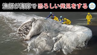 漁師が海岸で見つけた恐ろしい生き物10選！漁師たちはビーチで恐ろしいものを発見しました。それはおそらく秘密の実験の産物でした。 #ランキング #神秘 #top #top10 #世界 #発見 #生き物