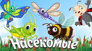 НАСЕКОМЫЕ ДЛЯ ДЕТЕЙ +  Учим насекомых + МУЛЬТИКИ ПРО НАСЕКОМЫХ  + Развивающие и обучающие мультики
