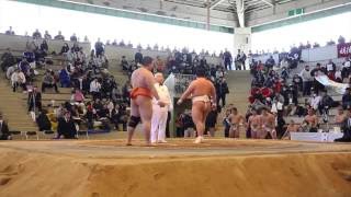 20160320 高校相撲 高知大会 団体決勝戦 埼玉栄-野村