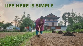 Nepal's Enchanting Hillside Village Life in Monsoon 4K | Silent Film | Scenic Peaceful Relaxation