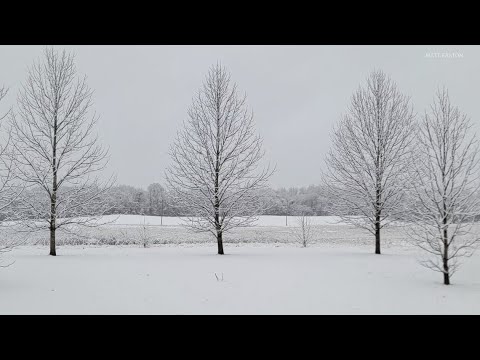 Snow Has Arrived In Southern Indiana - YouTube