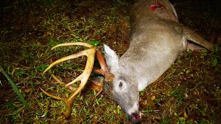 BIG 10 Pointer Down! Self-Filmed Bowhunting in the South!