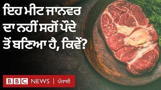 Lab-grown meat ਪੌਦਿਆਂ ਤੋਂ ਬਣਿਆ ਹੈ, ਕੀ ਇਹ future of foodLab ਹੈ | 𝐁𝐁𝐂 𝐏𝐔𝐍𝐉𝐀𝐁𝐈