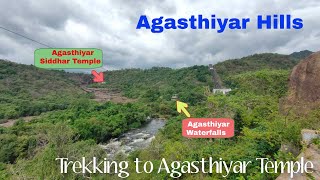 The Ultimate Guide to Visiting Papanasam  Agasthiyar Temple and WaterFalls