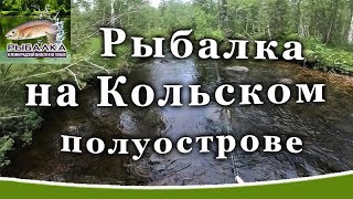 Рыбалка на Кольском полуострове. Форель в Мурманской области.  Август 2019