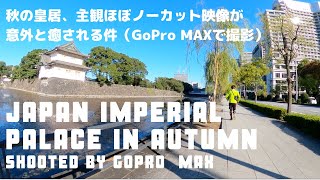 秋の皇居１周、主観ノーカット映像が意外と癒されます。　Japan Imperial Palace Bike Rounding in Autumn.