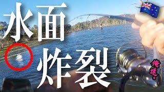 レアすぎる巨大魚が水面に！？【釣りよかコラボ】オーストラリア２日目