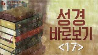 성경 바로 보기_17 : (정동수 목사, 사랑침례교회, 킹제임스 흠정역 성경, 세대주의)