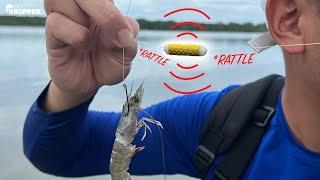 Does NOISE attract more fish? Testing RATTLING Sinkers with LIVE bait!