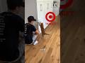 Kurt vs Target cat toys 😳 #viral