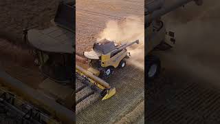 Harvest 2024 | New Holland CR8.80 Flying Through This Years Wheat!