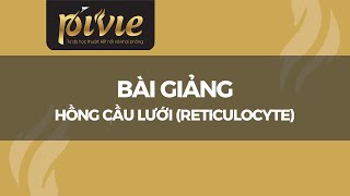 Hồng cầu lưới (Reticulocyte) - Phan Trúc