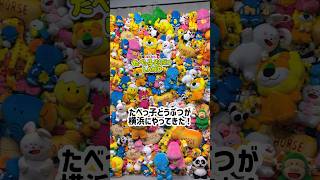 たべっこどうぶつが横浜にやってきた！キャラグリできる🦁 #子どもとおでかけ #横浜 #たべっ子どうぶつ #たべっ子どうぶつland #shorts #short #子連れスポット #フォトスポット