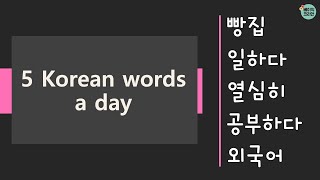 181-185 빵집, 일하다, 열심히, 공부하다, 외국어 \u0026 test | TOPIK Korean Vocabulary for beginners |5 Korean words a day