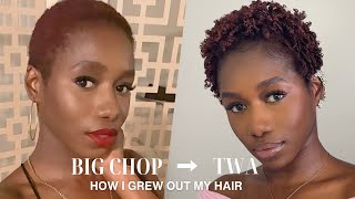 How I Grew Out My Big Chop | Natural Hair Care