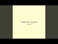 Fragile Sky Fragments