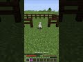 3 Minecraft Easter Eggs