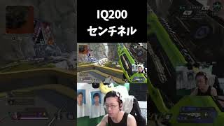 IQ200の完璧すぎるセンチネル【APEX/marunnn】#shorts