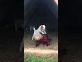 Toddler boy giggles while little goat kid tries to climb him - 1076847
