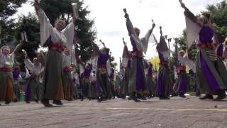 うらじゃ_凛夏_2012（野田屋町公園演舞場）