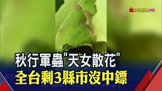 秋行軍蟲比非洲豬瘟可怕!\