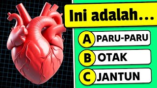 🧠 Bisa Nggak Kamu Lulus Kuis Tubuh Manusia Ini? 🧍💪🧬 Kuis Pengetahuan Umum