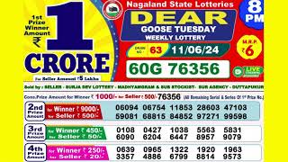 DEAR GOOSE TUESDAY WEEKLY LOTTERY TODAY RESULT 8 PM 11/06/24#latest lottery result