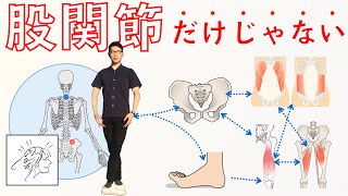 【５番ポジション】のメリットとおさえたいポイント｜やりづらい原因は股関節だけじゃない