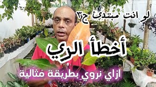 لو انت مبتدئ ج3/ازاي نحافظ علي النباتات الداخلية من أخطاء الري