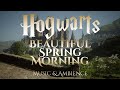Beautiful Spring Morning on Hogwarts Grounds | Hogwarts Legacy Harry Potter Ambience