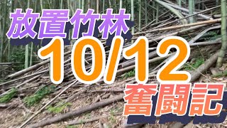 放置竹林奮闘記【サラリーマンが竹を切る日々】2023/10/12  bambooforest deforestation