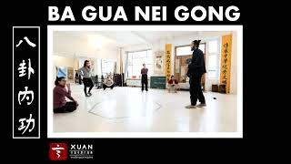 Ba Gua Zhang: Essential Qi Gong and Nei Gong Understandings