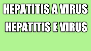 HAV,HEV hepatits A virus,hepatitis E virus