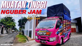 Traga Pinky Muatan Tinggi  Harus Nguber Jam!!😯😯